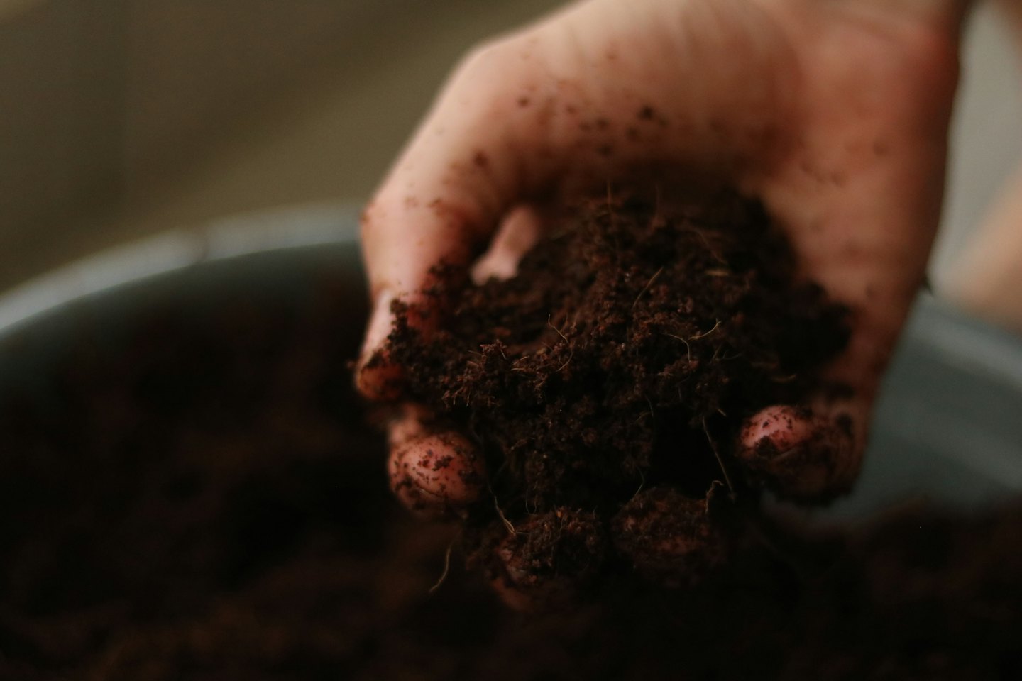 Una mano tiene una paletta di terriccio scuro e ricco.
